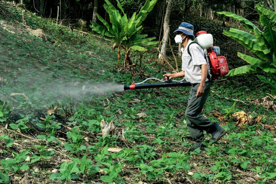 Man Spraying Pesticides in Wood